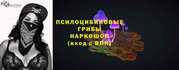дурь Алексин