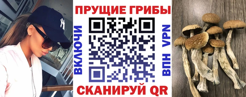 Галлюциногенные грибы Cubensis  Чишмы 